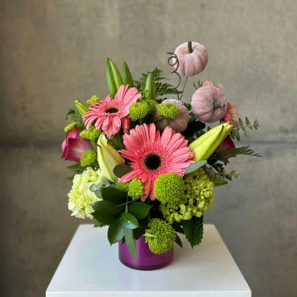 Pink gerbera daisies and green chrysanthemums in a purple vase with decorative pumpkins