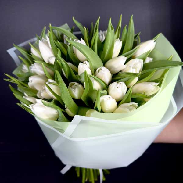 Bouquet of white tulips wrapped in pale green and white paper