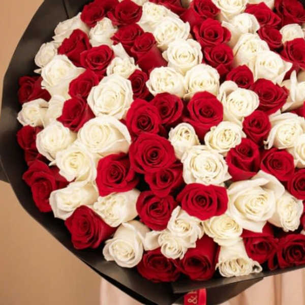 Large bouquet of red and white roses wrapped in black paper