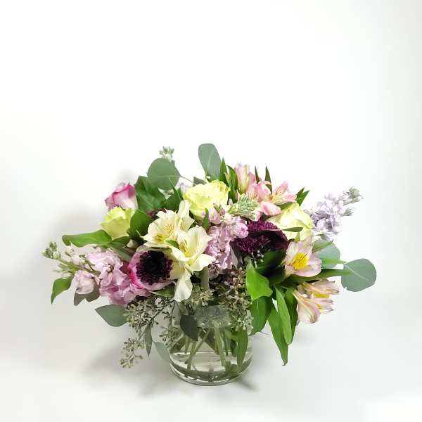 From the Garden