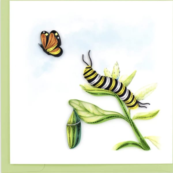 Paper quilled butterfly and caterpillar on a white card