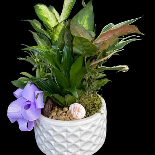 Potted green houseplant arrangement in a white textured planter with a purple ribbon