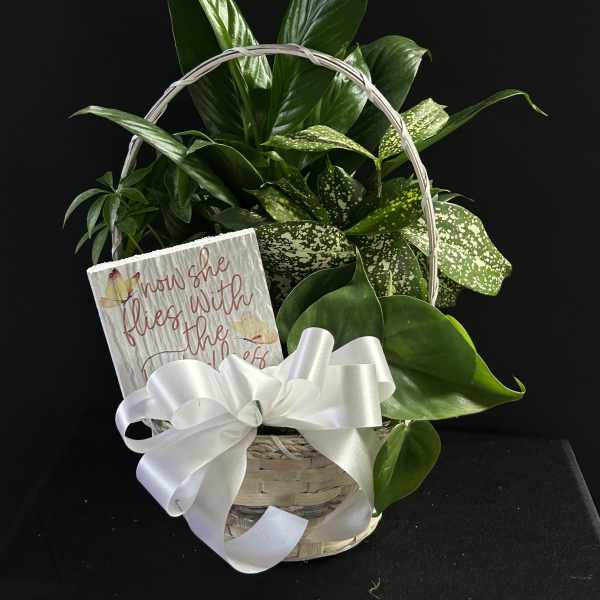 Basket of green houseplants with a white ribbon and a small sign