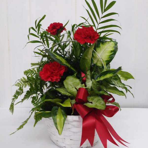 Red carnations in a white basket with a red ribbon