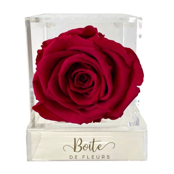 Single red rose in a clear acrylic box