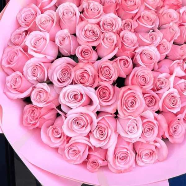 Large bouquet of pink roses wrapped in pink paper