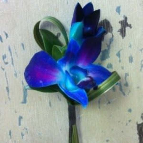 Single blue-purple orchid boutonniere with green leaves