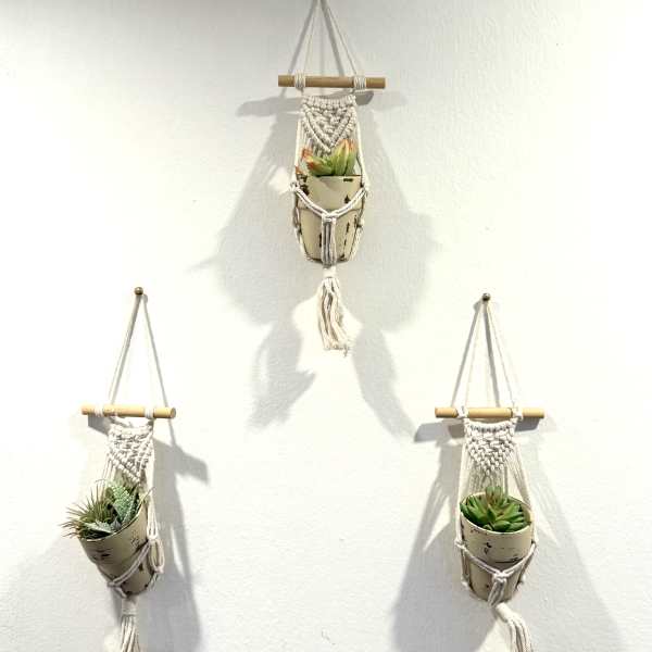 Three hanging macramé planters with small succulents on a white wall
