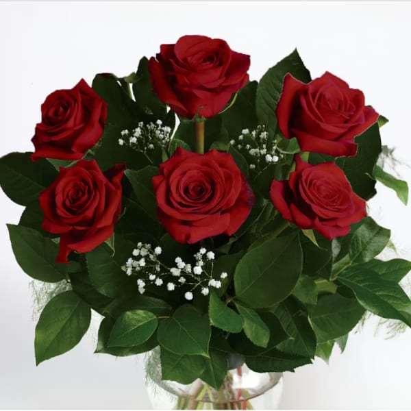 Classic Six Red Roses