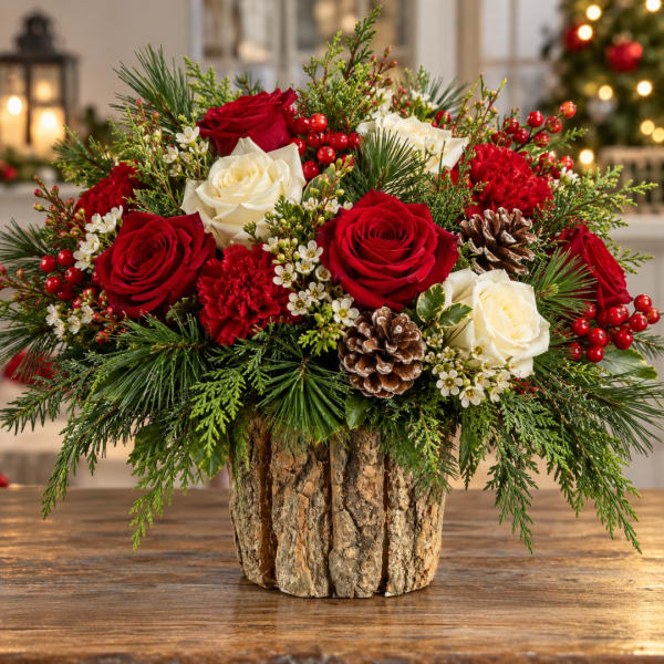 Red and white roses in a rustic bark container with pinecones and evergreens