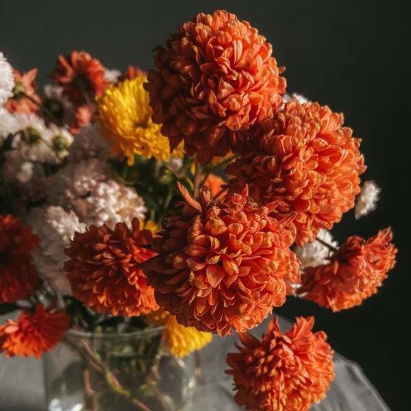 Orange and yellow chrysanthemum bouquet in a clear glass vase