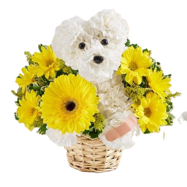 White teddy bear arrangement with yellow daisies in a wicker basket