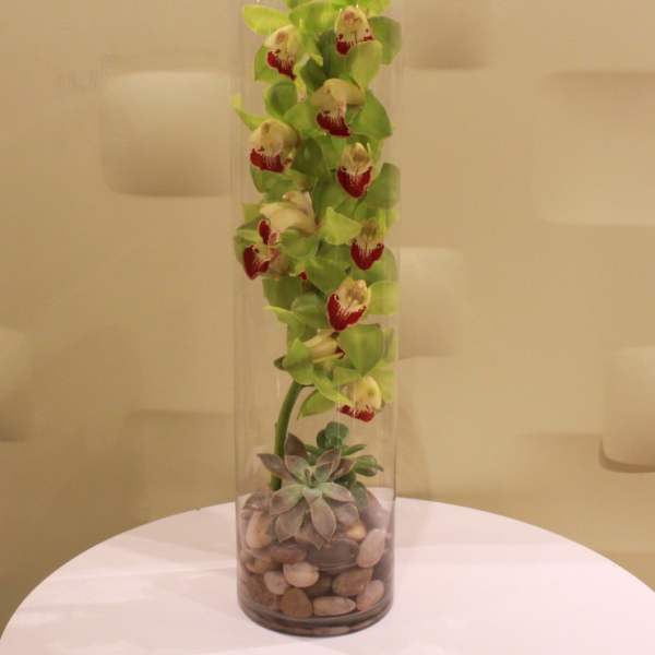 Tall orchid arrangement in a clear cylinder vase with succulents and stones