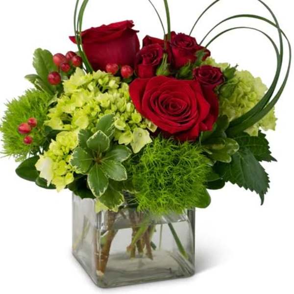 Red roses and green hydrangeas in a square glass vase