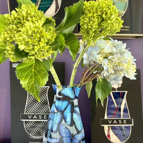 The Modgy Reusable Expandable Vase