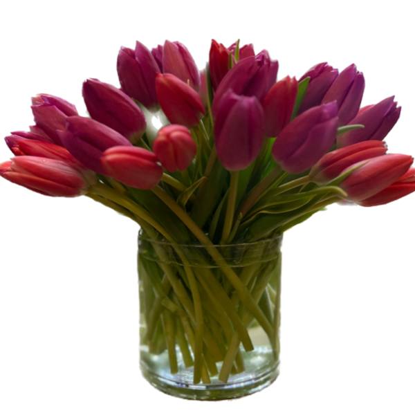 Bouquet of pink and purple tulips in a clear glass vase