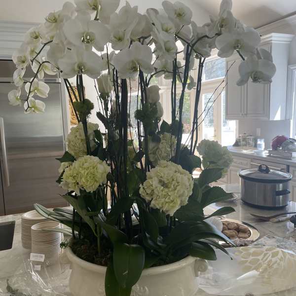 Tall white orchid and hydrangea planter in a white ceramic bowl on a kitchen counter