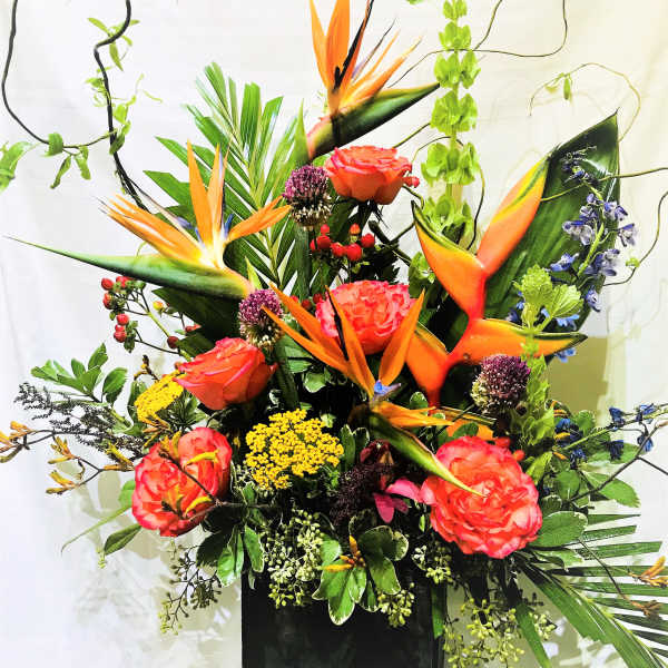 Tropical floral arrangement with orange bird-of-paradise and coral roses in a black vase