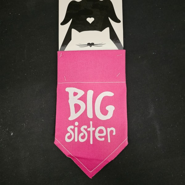 Pink fabric pennant with "BIG sister" text and a cat-shaped topper