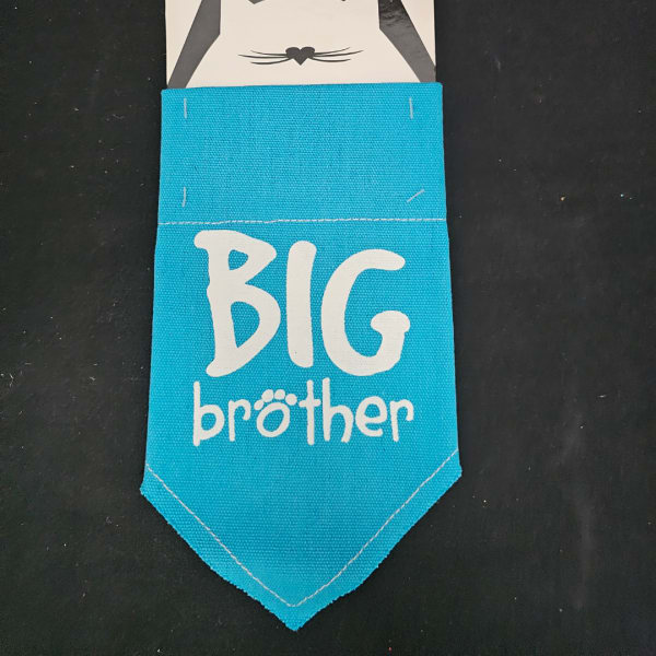 Blue fabric pennant with the words "BIG brother" on a black background