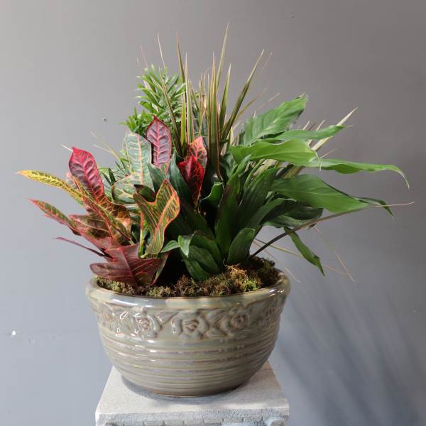 12" Ceramic Dish Garden; sympathy