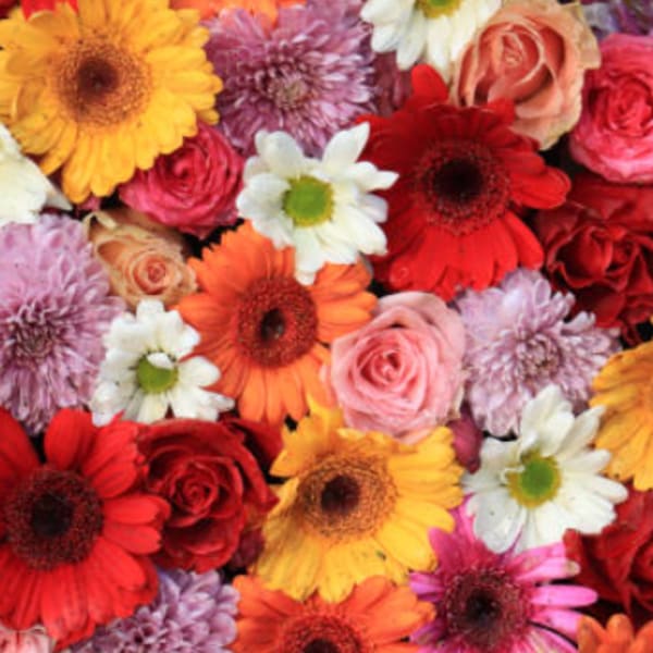Mixed bouquet of gerbera daisies and roses in bright colors