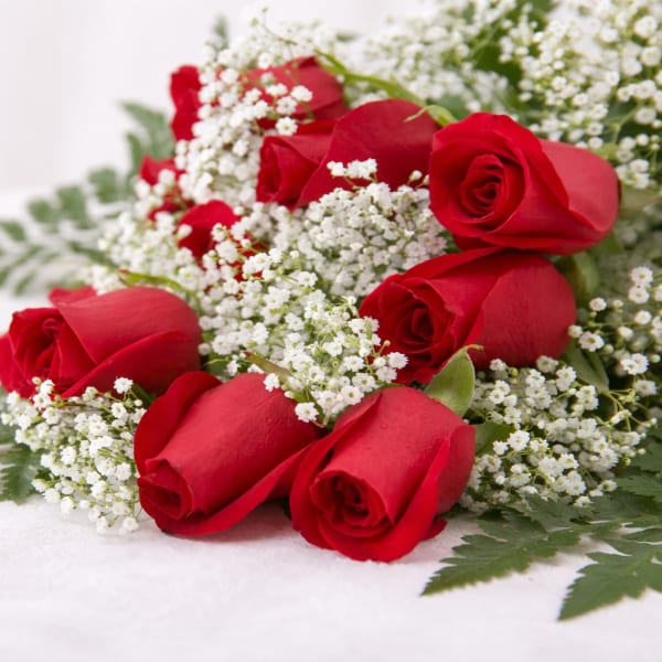 Red roses with white baby's breath on a white surface