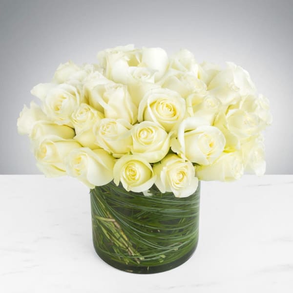 Three Dozen White Roses