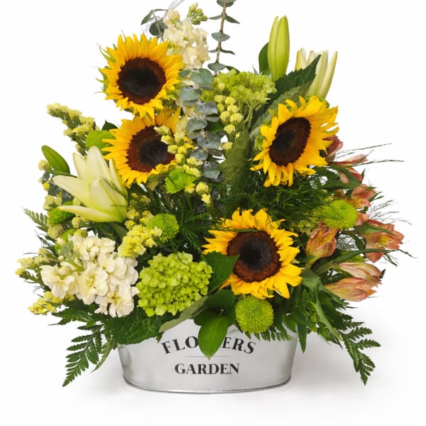 Mixed arrangement of sunflowers, white lilies, and green blooms in a white metal container.