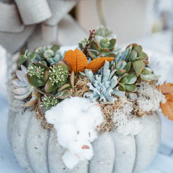 Succulent arrangement in a gray pumpkin container with orange leaves