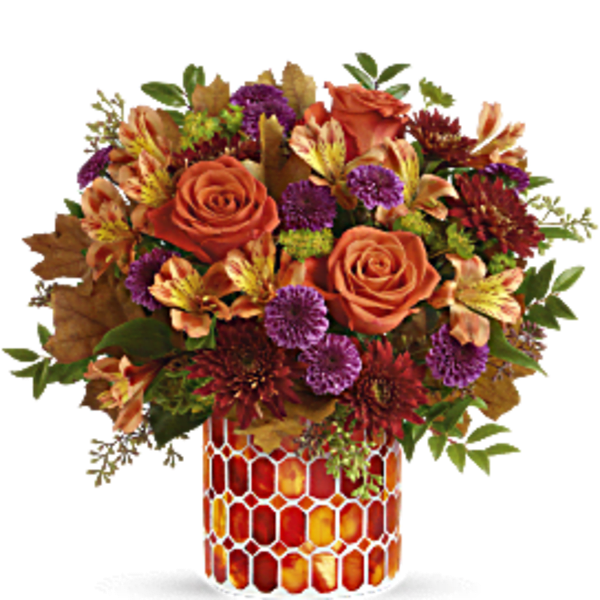 TF's Autumn Radiance