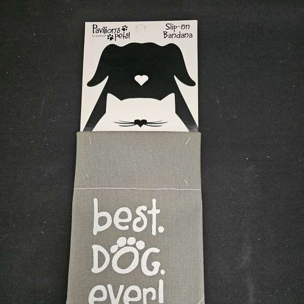Gray dog bandana on retail packaging with "best. DOG. ever!" text