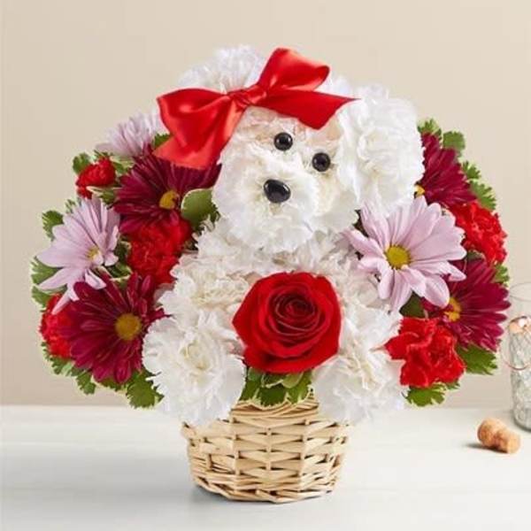 Flower arrangement shaped like a white dog with a red bow and rose in a wicker basket