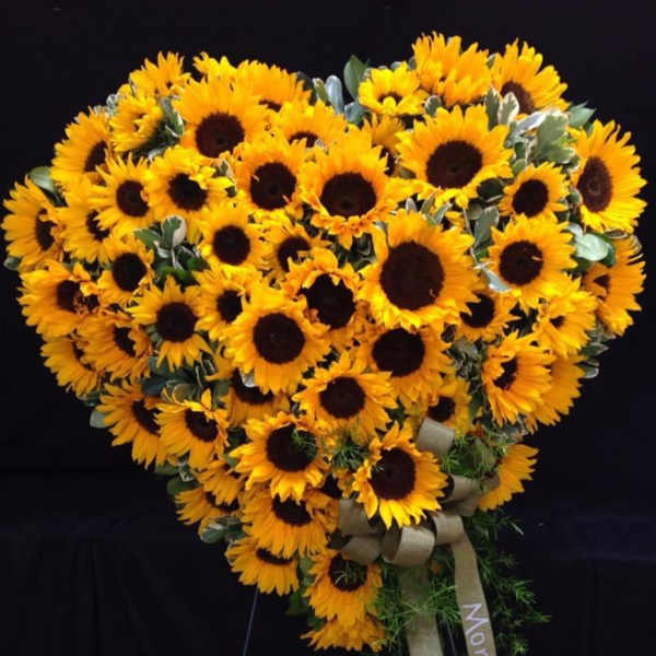 Heart-shaped sunflower arrangement with a ribbon bow on a dark background