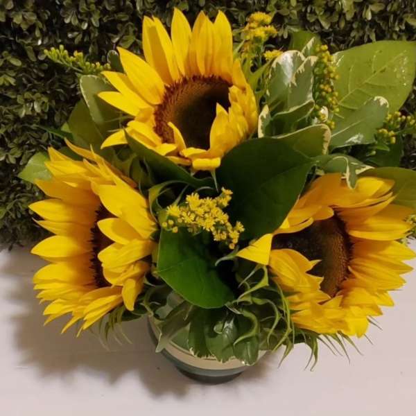 Bouquet of yellow sunflowers with green foliage in a vase