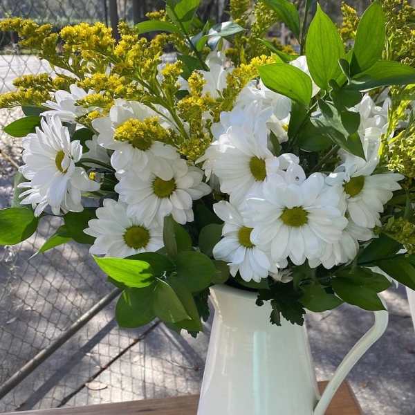 White daisies and yellow filler flowers arranged in a white pitcher-style vase