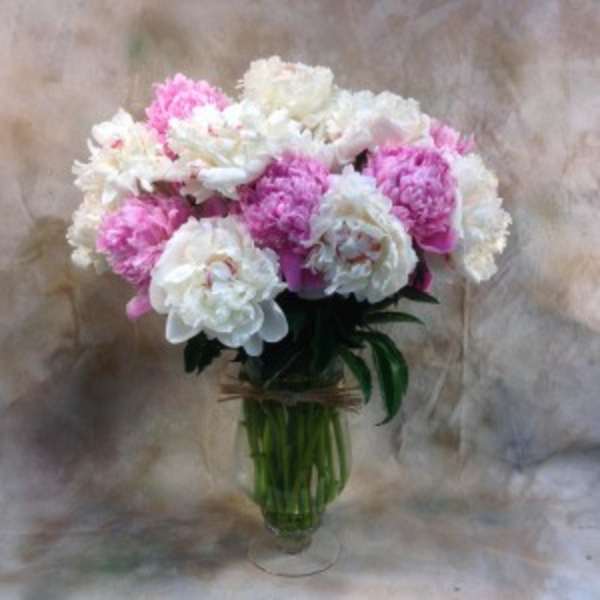 Pink and white carnations in a clear glass vase