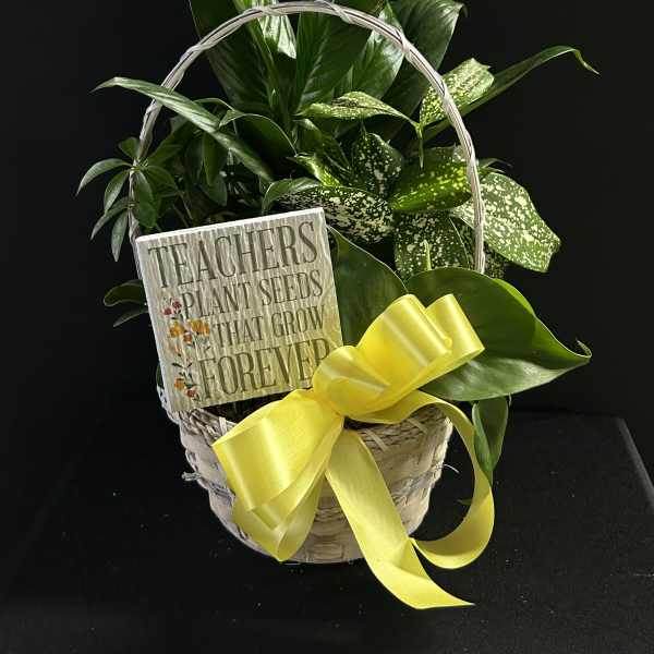 Basket of green houseplants with a yellow ribbon and teacher sign