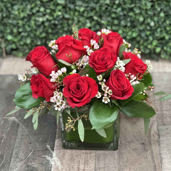Red roses arranged in a square glass vase with small white filler flowers