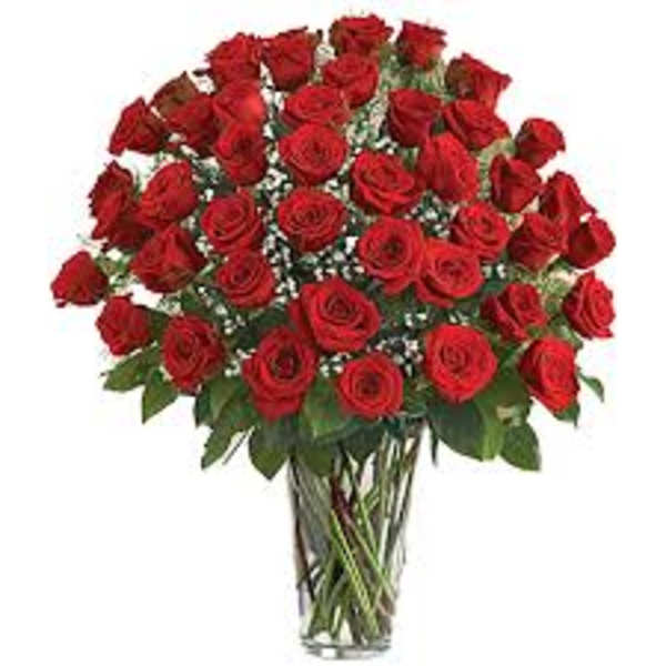48 Red Roses