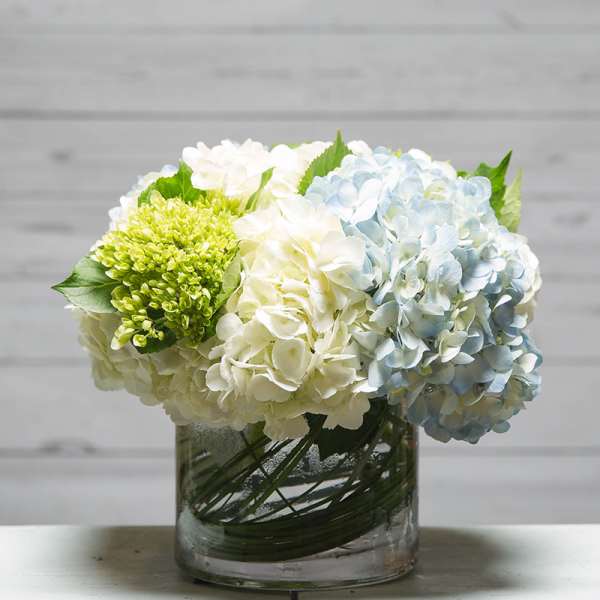 Blue and white hydrangeas in a clear glass vase
