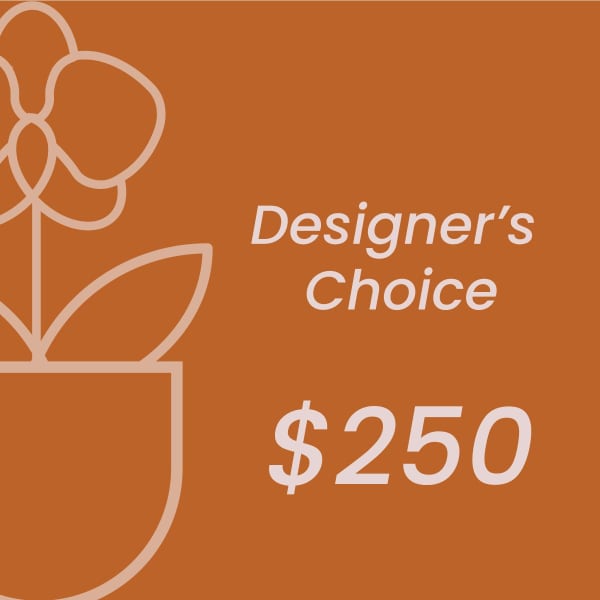 Orange designer's choice gift card with $250 text