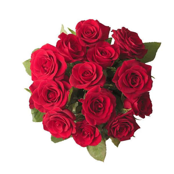 Bouquet of red roses with green foliage