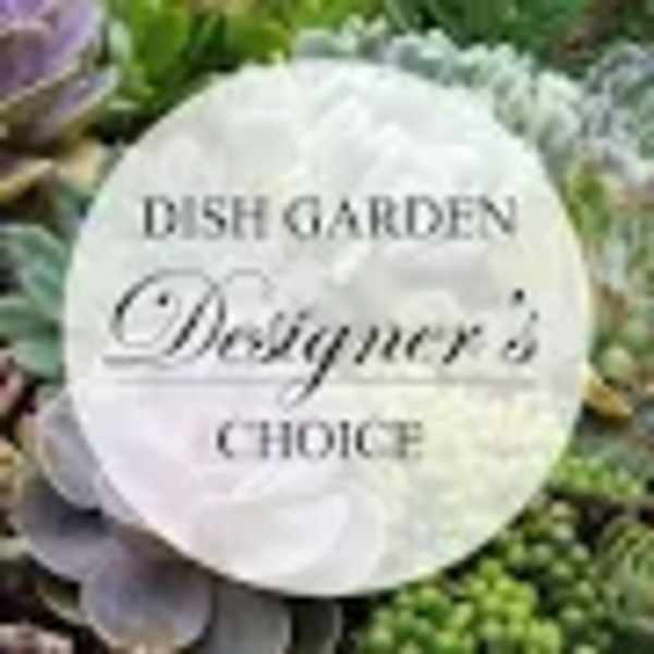 White floral arrangement with a round sign reading "Dish Garden Designer's Choice"