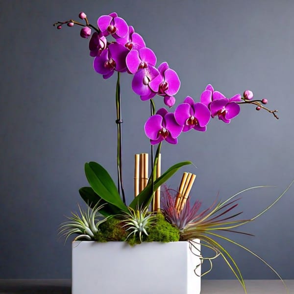 Purple orchid arrangement in a white rectangular planter