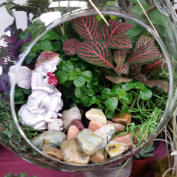 fairy garden made from Roma florist