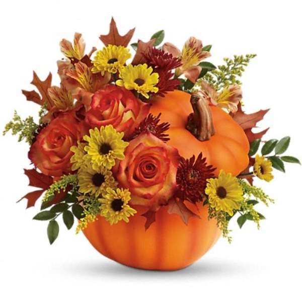 Warm Fall Wishes