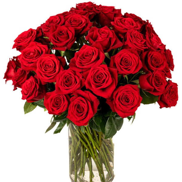 Large arrangement of long-stem red roses in a clear glass cylinder vase