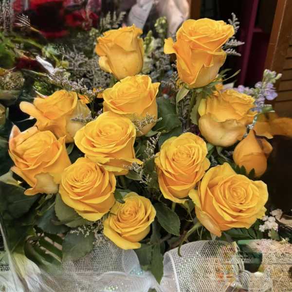 All things yellow
