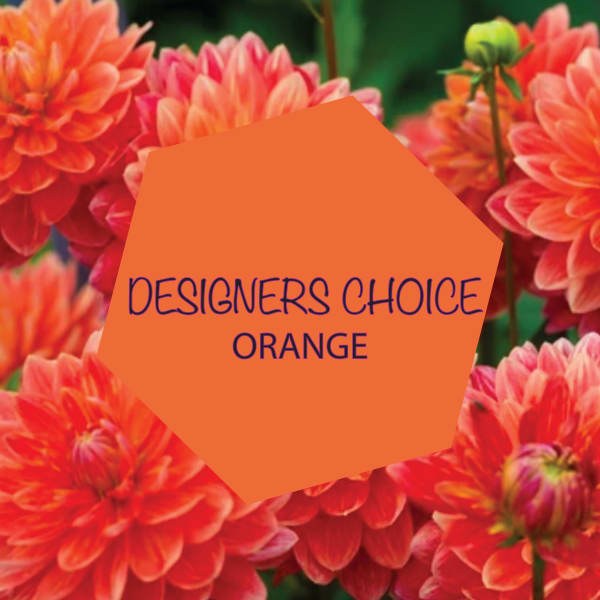 DESIGNERS CHOICE orange